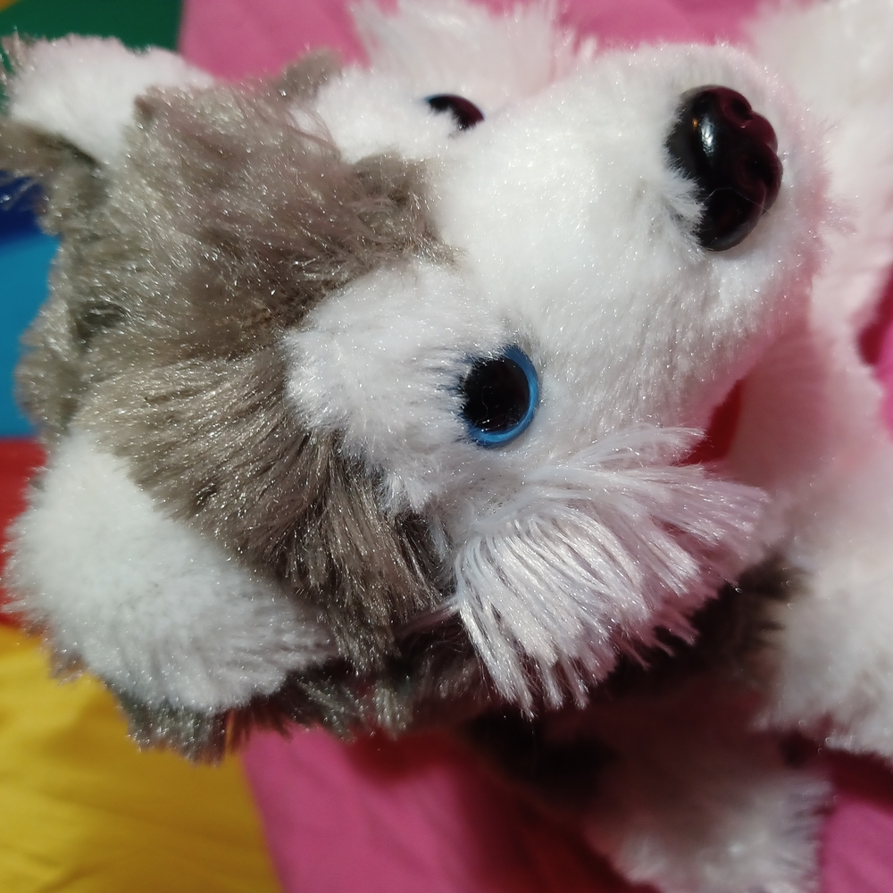 Husky Dog Plyshie - Picture 3 of 11